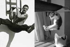 Image result for men and cats tumblr