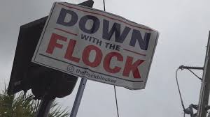 Florida Flock camera protester goes viral by blocking license plate readers with signs