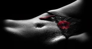 Risultati immagini per dolce erotico