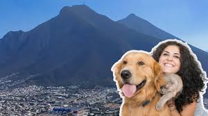 Clima en Monterrey: Domingo 1 de marzo de 2026 ¿Qué tanto sube la temperatura?