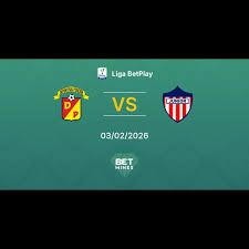 Deportivo Pereira vs Junior FC Prediction: Match Preview and Analysis | Liga BetPlay 03-02-2026