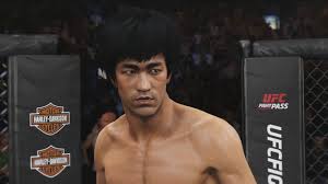 Image result for bruce lee ced