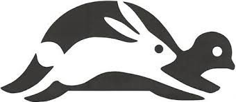 Image result for tortoise and the hare