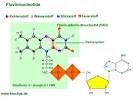 Flavoproteine