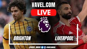 Brighton Vs Liverpool