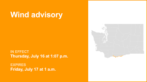 Trend Google: windy