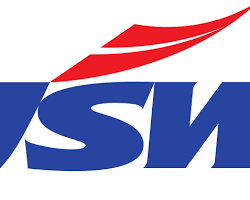 JSW Energy India logo
