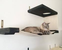 Mau cat wall shelvesの画像