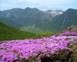 くじゅう連山の画像