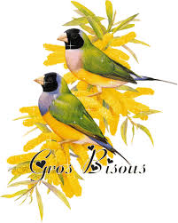 Résultat de recherche d'images pour 