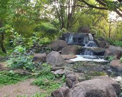Image of Osho Garden, Pune