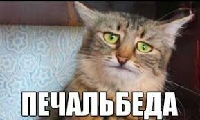 images?q=tbn:ANd9GcS6JEAXIs5f8OJkvspwgPeu0mubK1TjlZUm5_FiWqb_rsUSF_7R