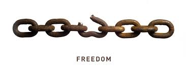 Image result for pics of Freedom