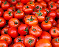 Image of Tomatoes