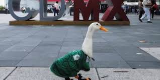 Una perrita, un pato y una botarga