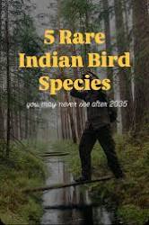 Related video thumbnail