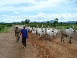 Image result for fulani herdsmen