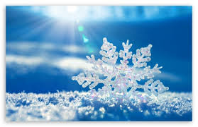 Image result for snowflakes