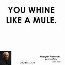 Mules Quotes. QuotesGram via Relatably.com