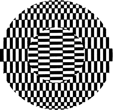 Résultat de recherche d'images pour "rotating snakes"