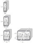 Guide desenfumage - Portail-securite