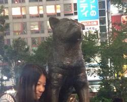 dog and a cat in front of Tokyo Stationの画像