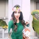 شاهد.. رد فعل ببغاء لجين