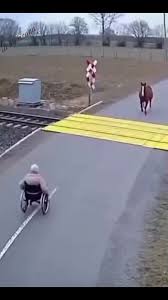 Horse Rider Train Rescue | TikTok