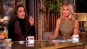 ‘The View’: Elisabeth Hasselbeck Swarmed Over Immigration Take