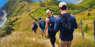 Ministry for the Environment - News update