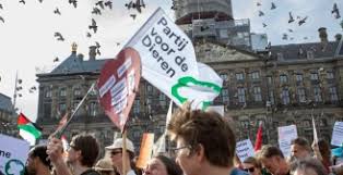 Partij voor de Dieren - News update