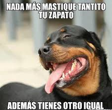 Resultado de imagen para memes chistosos