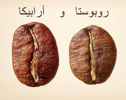Image of حبوب الأرابيكا