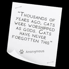 Pet Quotes via Relatably.com