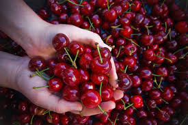 Αποτέλεσμα εικόνας για cherry