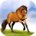 Fun & Info @ Keralites.net