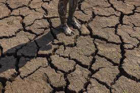 El Niño começou e deve se intensificar para nível moderado ou forte, diz agência dos EUA