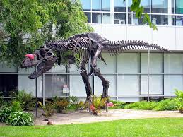 Image result for google campus