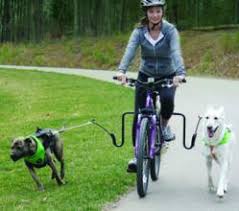 Ποδήλατο με δύο σκύλους...