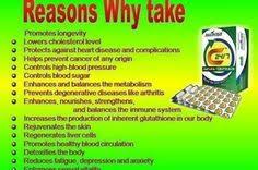 Image result for AIm Global Products