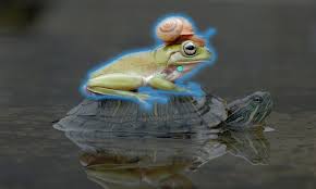 Effortlessly Extract Objects from Photos with Meta’s New Tool – in a Snap!