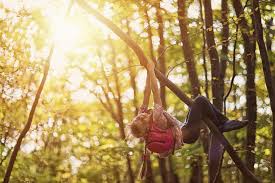 Image result for climbing trees