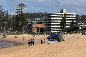 Dee Why surfer killed in shark attack at Long Reef Beach