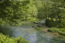 Image result for "Alley Spring"