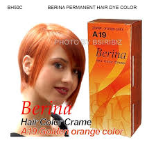 Berina Permanent Hair Dye Color Cream Punky Punk Goth Emo Cool Hot Crezy Fashion | eBay - 687887309_o