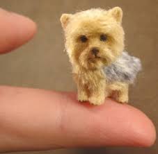 miniature yorkshire terrier sculpting tutorial by aleah klay Miniature Yorkshir... klayaleah.... $14.99USD - 944907_detail
