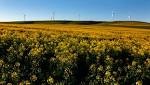 Land issue, ANC's Brexit moment