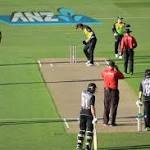 Warner Keen Counter Eden Park