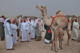 Image result for qatar people