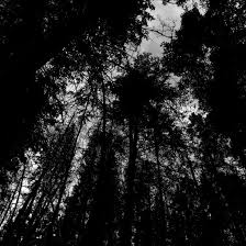 R&eacute;sultat de recherche d'images pour 